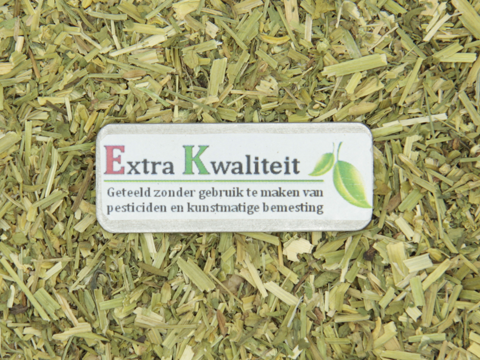 Driekleurig viooltje Extra kwaliteit