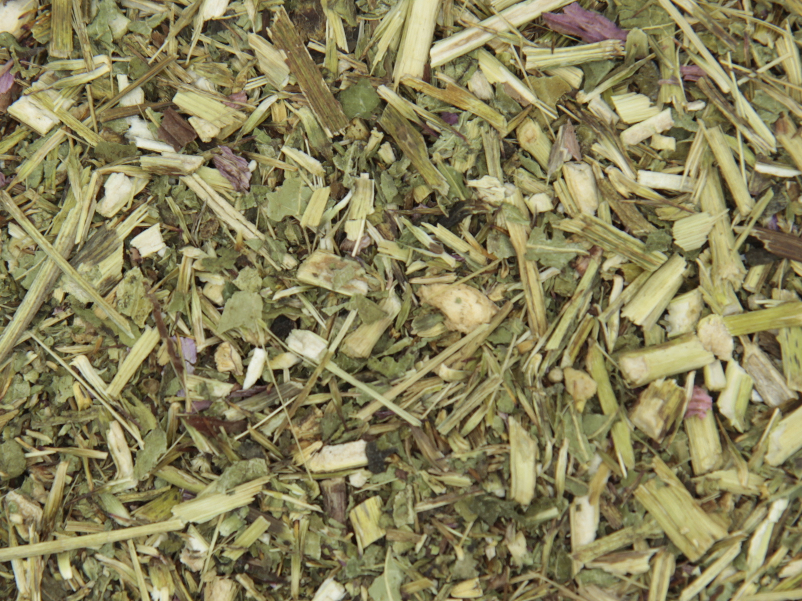 Echinacea (rode zonnehoed)