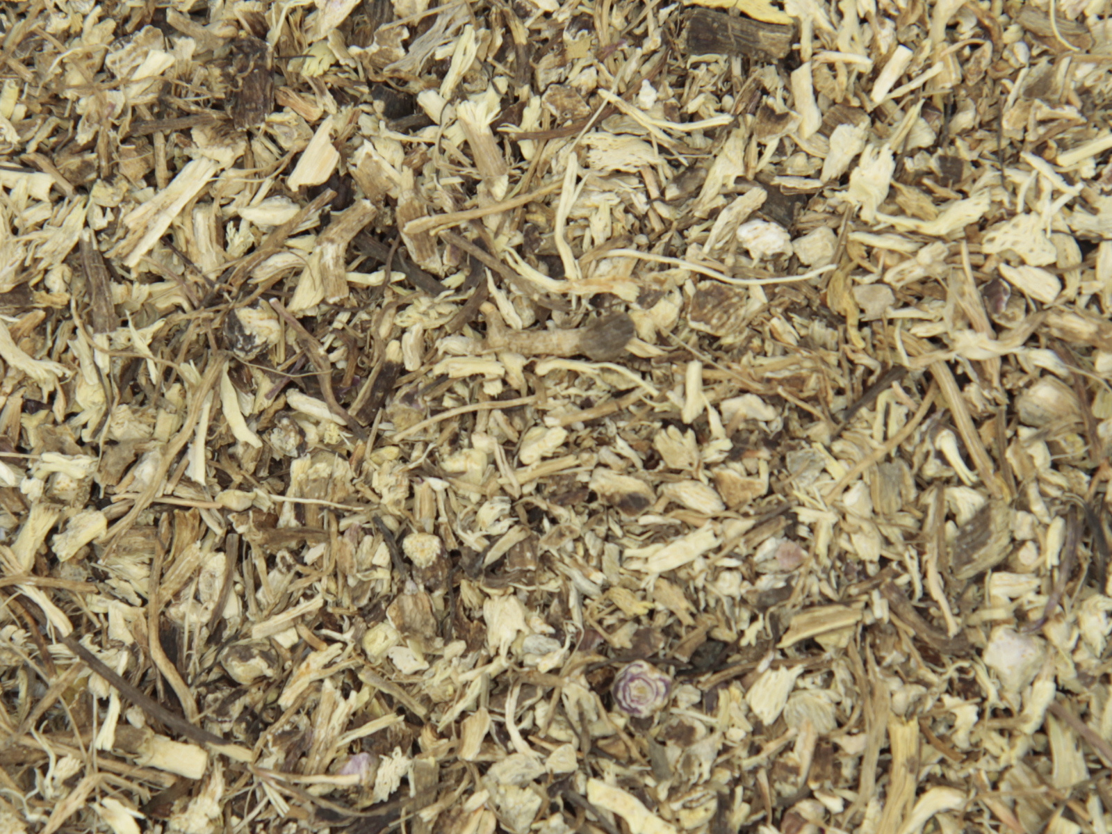 Echinacea wortel (rode zonnehoed)