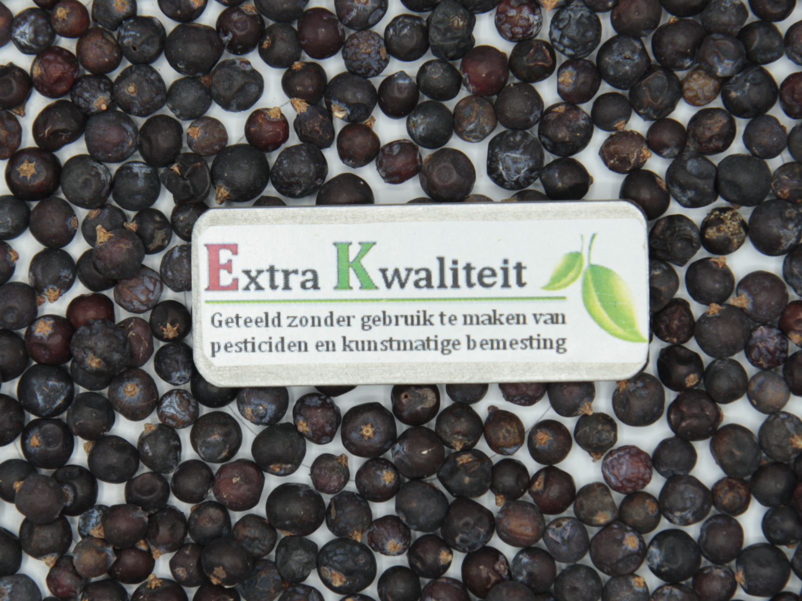 Jeneverbes Extra kwaliteit