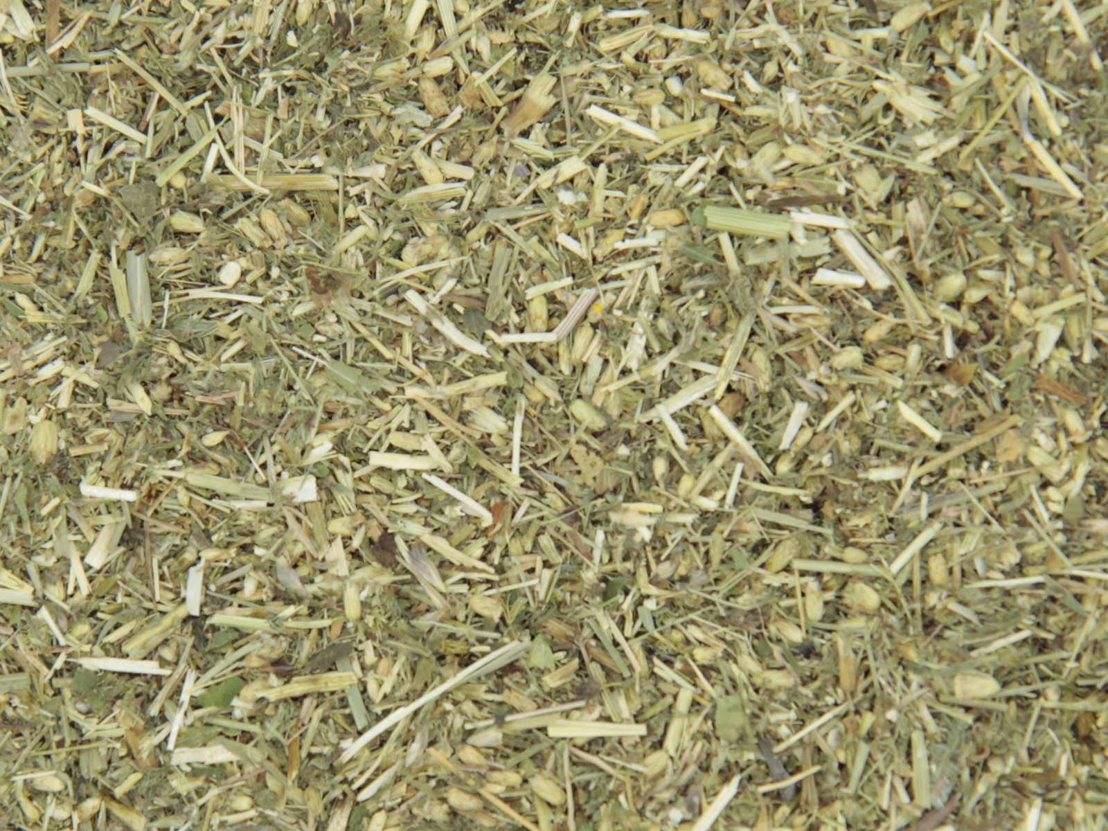 Duizendblad