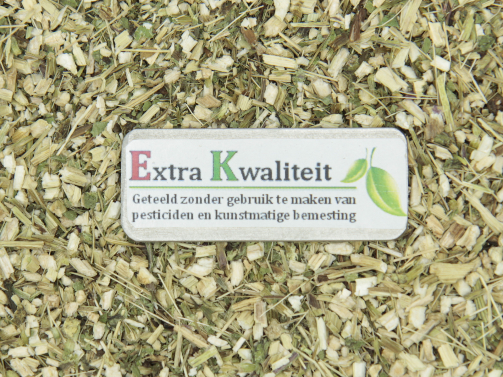 Echinacea  Extra kwaliteit