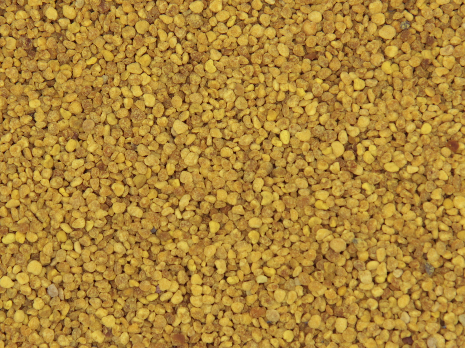 Bijenpollen (ten minste houdbaar tot 06-2026) 
