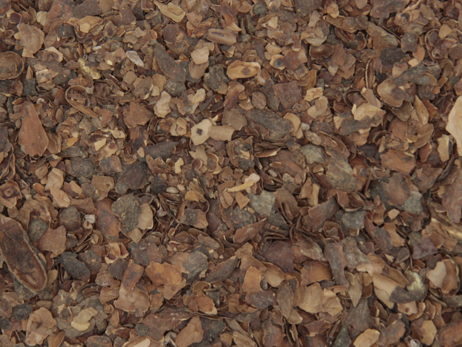 Cacaoschil stukjes