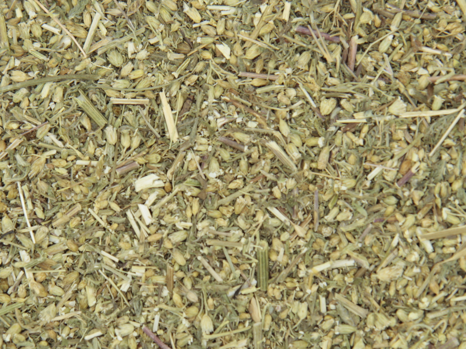 Duizendblad bloesem
